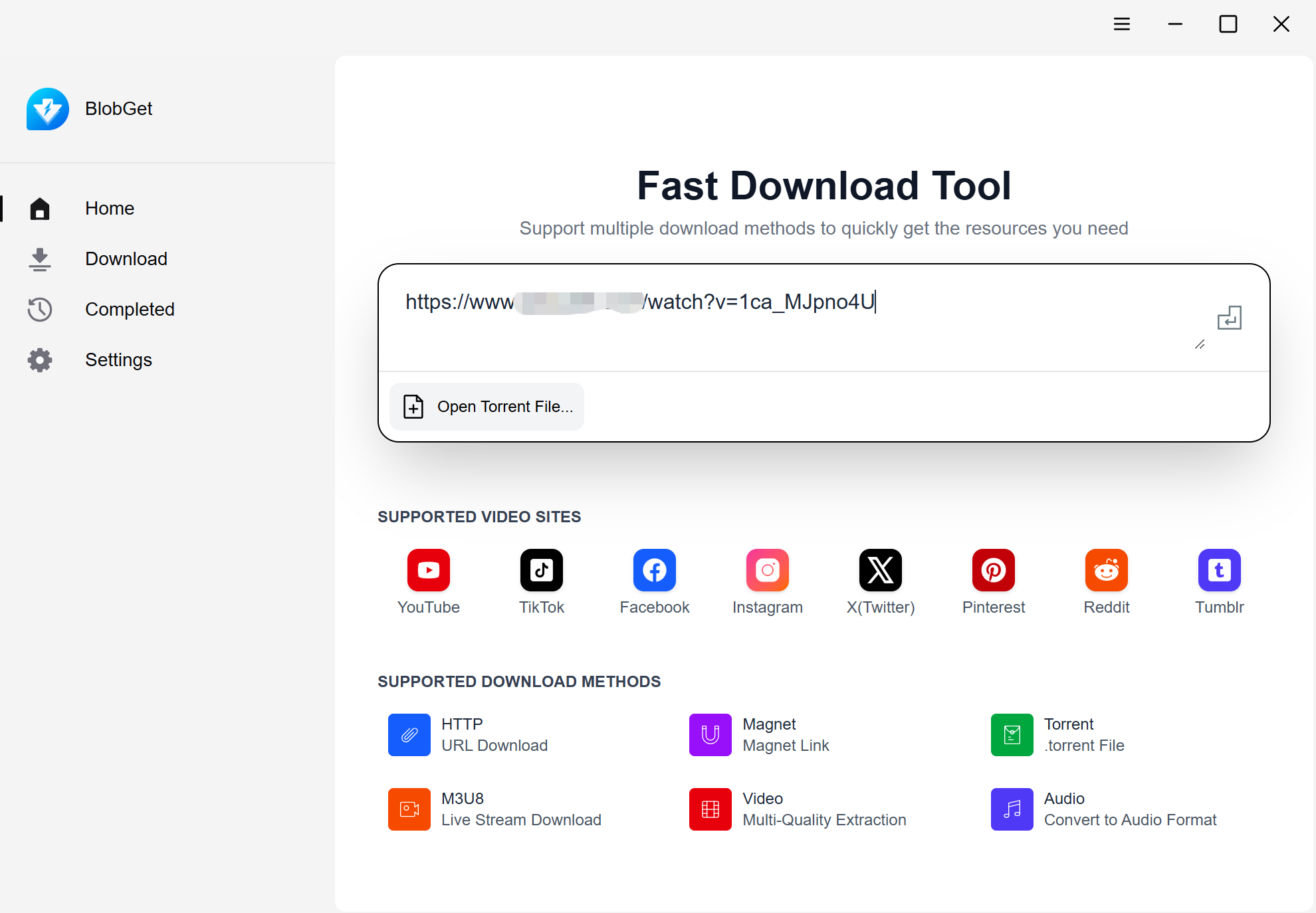 BlobGet Main Interface